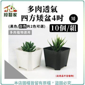 【綠藝家】多肉透氣四方矮盆4吋 (矮) 10個/組 (黑色.白色共2色可選)