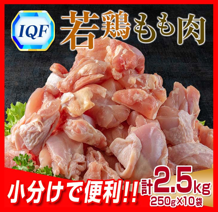 B219-23_小分けで便利 カット済 若鶏 もも肉 計2.5kg 250g×10袋 肉 鶏 鶏肉 国産 おかず 食品 お肉 チキン 送料無料