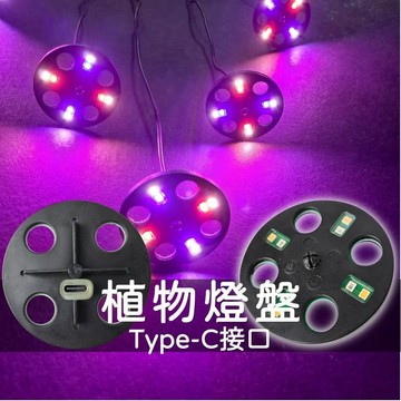 植物燈盤 植物燈 多肉植物燈 植物補光燈