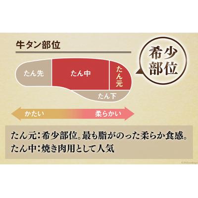 ふるさと納税 気仙沼市 大人気!牛タン 厚切り牛タン塩味 1kg(500g×2パック) [20562922]