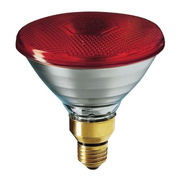 PHILIPS PAR38E 150W 220V E27 人體專用 紅外線燈泡 溫熱燈泡 保溫燈泡 中醫院備品 歐洲製