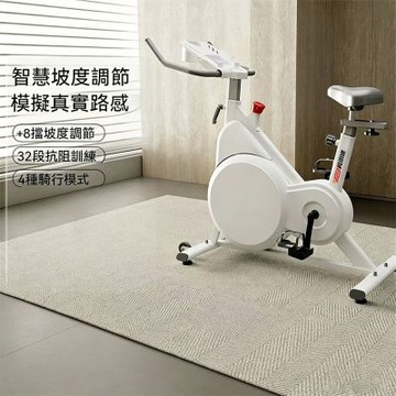 智能磁控健身車 動感單車 超靜音單車 運動減肥神器 健瘦身器材（超靜音單車）