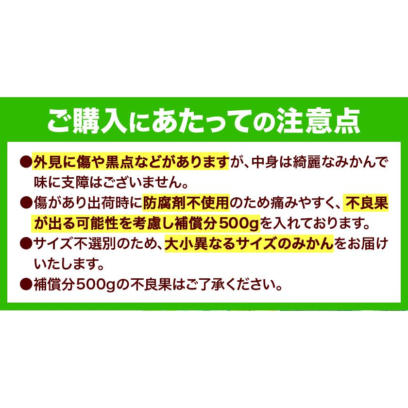 みかん 送料無料 10kg 訳あり 内容量9kg 補償分500g  規格外 サイズ不選別 熊本県産  極早生 は緑色傾向 ミカン 蜜柑 ご自宅用 ポイント消化