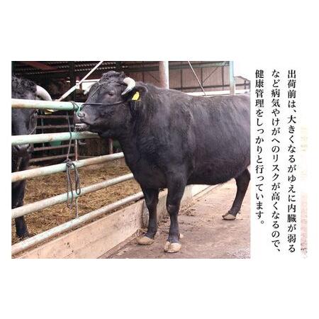 ふるさと納税 但馬牛「黒田庄和牛」ロースすき焼き肉（500g） 兵庫県