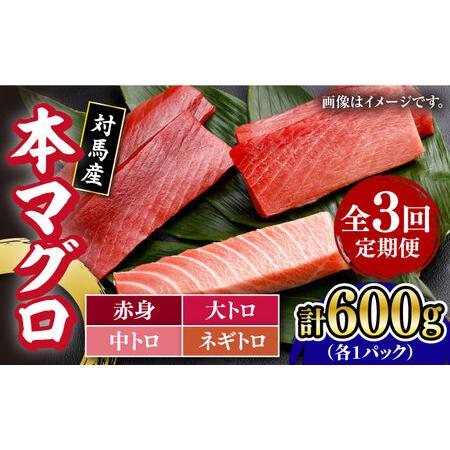 ふるさと納税 対馬産 養殖 本マグロ 4種×各1パック 赤身   中トロ   大トロ   ネギトロ )《対馬市》 新鮮 マグロ.. 長崎県対馬市