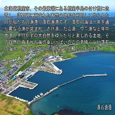 ふるさと納税 根室市 ★北海しまえび250g×2P A-20001