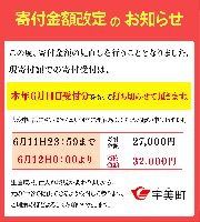 福岡県産 あまおうG以上（4パック）定期便3回 合計3000ｇ 先行予約 2024年1月・2月・3月発送予定　TY034