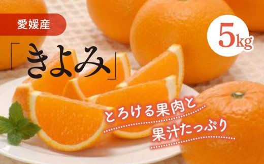 清見タンゴール（生果5kg）≪みかん 甘い 愛媛県産 完熟≫ ※離島への配送不可 ※2024年3月上旬～4月上旬頃に順次発送予定