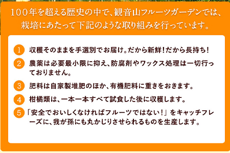 観音山ドライフルーツ（イチジク）30g1個 有限会社柑香園 《30日以内に順次出荷(土日祝除く)》 和歌山県 紀の川市 フルーツ 果物 いちじく ドライフルーツ 送料無料---wsk_kcedryi_30d_22_4000_30g---