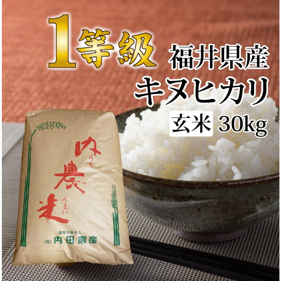 キヌヒカリ 玄米 30キロ 送料無料 令和5年度産 新米 1等級 福井県産 令和 おいしいお米 ふるさとの味