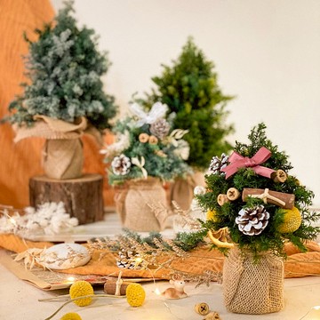 【DIY材料包】 一起手作熹微晨光 x 不凋雪松聖誕樹手作DIY