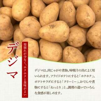 ★先行受付：2024年5月発送開始★大野台地で採れた 令和6年産新じゃがいも『デジマ』5kg 5キロ イモ ジャガイモ 芋 いも ポテト 野菜 おいしい ふっくら 旬 国産 お取り寄せ 送料無料