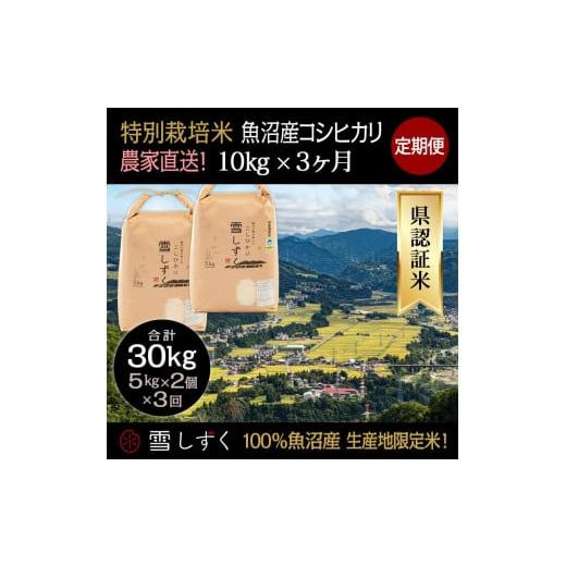 ふるさと納税 新潟県 十日町市 定期便！農家直送！県認証特別栽培魚沼産コシヒカリ毎月10kg×3回