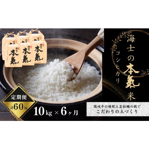 ふるさと納税 島根県 海士町 計60kg！本氣米10kg×6か月定期便 ブランド米 お米 精米 白米 弁当 ごはん ご飯 おにぎり 年末年…