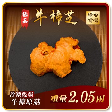 寶芝靈極品嚴選｜牛樟椴木子實體（冷凍乾燥牛樟菇20000以上品級）約2.05兩