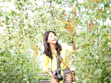 農遊超市 - 台中 | 優恩蜜溫室蔬果觀光果園-番茄/當季蔬菜 (250元採果通用券(適用全台37家以上農場果園)...