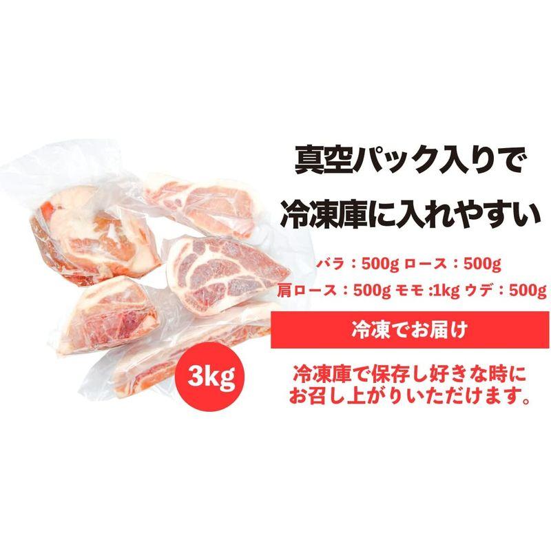 鹿児島 黒豚 1頭買い 塊肉 ブロック セット 3kg モモ ウデ バラ ロース 肩ロース キャンプ BBQ 肉 しぜんのおかショップ