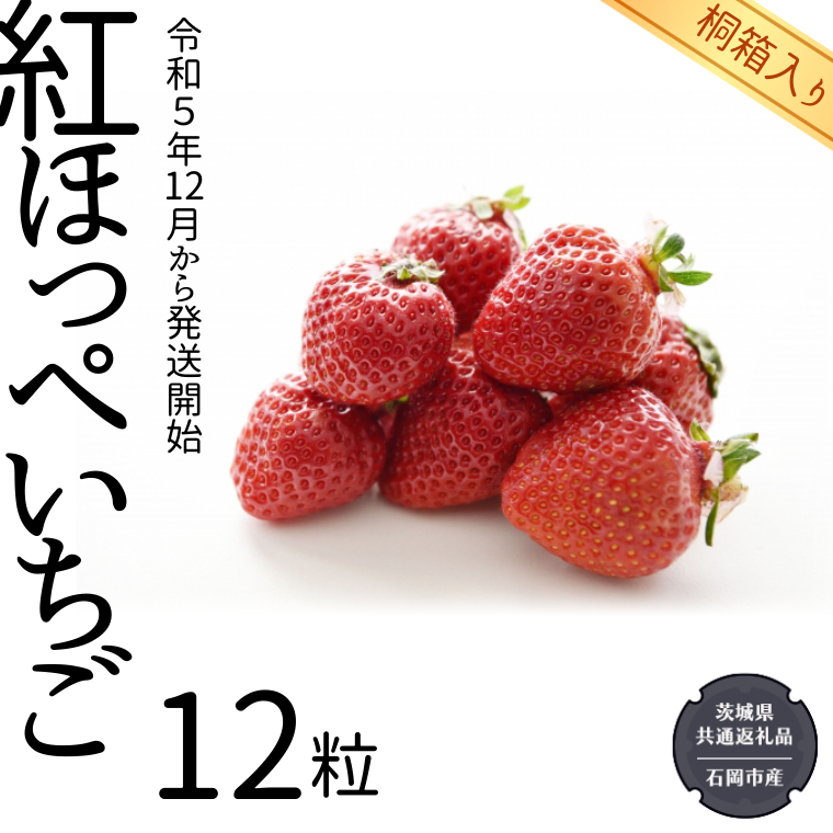 紅ほっぺ いちご 桐箱入り 12粒  （県内共通返礼品：石岡市産） フルーツ 果物 デザート イチゴ 苺 季節 桐箱 贈答 [BI351-NT]