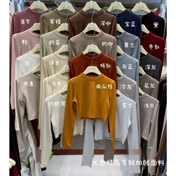 【太妮絲IA103】現貨 韓系 刷毛 高質感 羊絨棉 短版 長袖上衣 短版 圓領打底上衣羊絨感長袖T 女生修身顯瘦上衣