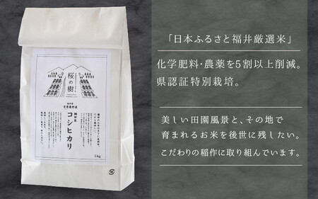 [003-c001] 定期便≪3ヶ月連続お届け≫ 福井県こだわり米登録！令和4年産 棚田の特別栽培米コシヒカリ 5kg × 3回（計15kg）