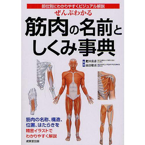 ぜんぶわかる筋肉の名前としくみ事典 部位別にわかりやすくビジュアル解説 肥田岳彦 山田敬喜