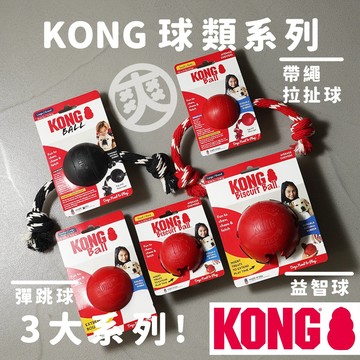 KONG 狗狗玩具 寵物球 寵物玩具 帶繩拉扯球 彈跳球 益智球 抗憂鬱玩具 啃咬玩具 橡膠玩具 益智玩具 高雄實體店