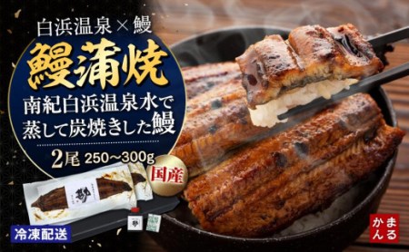 うなぎ蒲焼き2本セット（タレ・山椒付き）（合計：250～300ｇ)