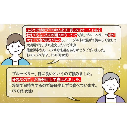 ふるさと納税 長崎県 佐世保市 C152 冷凍ブルーベリー「あいあいの雫」1,200g