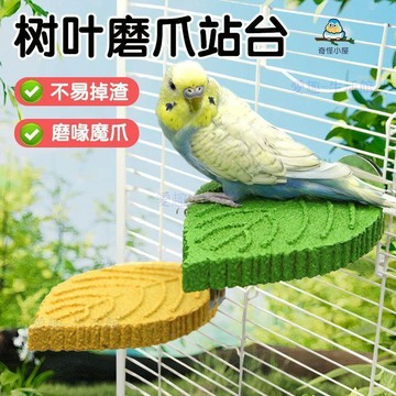 🔥臺灣出貨🔥鸚鵡磨砂站杆磨爪磨牙棒小太陽牡丹虎皮玄鳳鳥用品鳥籠小鳥站杆068K
