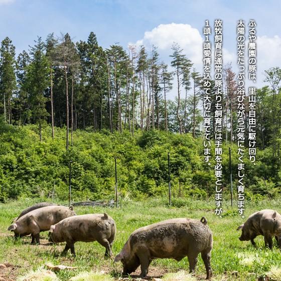 里の放牧豚　Bセット