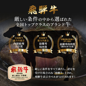 飛騨牛 牛肉 切り落とし 500g×4 計2kg A5 和牛