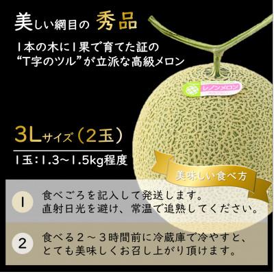 ふるさと納税 あわら市 レノンメロン 3L 2玉入 約2.6〜3kg《秀品》