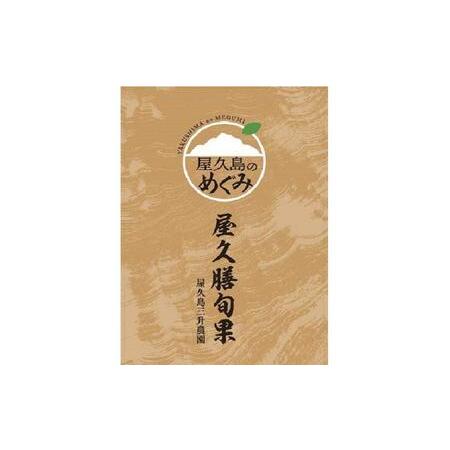 ふるさと納税 屋久膳旬果『屋久膳たんかん』5kg・混合（M〜2Lサイズ おまかせ） 鹿児島県屋久島町