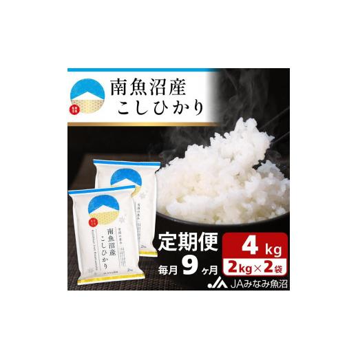 ふるさと納税 新潟県 南魚沼市 南魚沼産こしひかり （2kg×2袋×全9回）