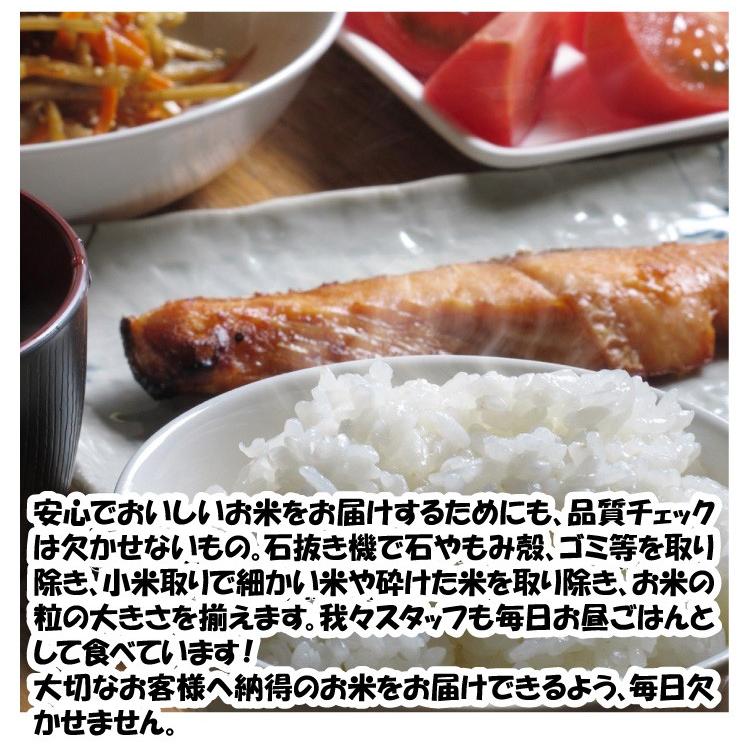 令和5年 山形県産 コシヒカリ 玄米 25kg(5kg×5)（送料無料）