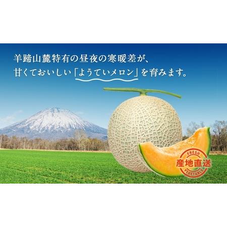 ふるさと納税 北海道 赤肉メロン 大玉 約2kg 2玉 メロン 赤肉 果物 フルーツ 甘い 完熟 スイーツ デザート 産直 国産 贈答品 お祝いギフト羊蹄.. 北海道倶知安町