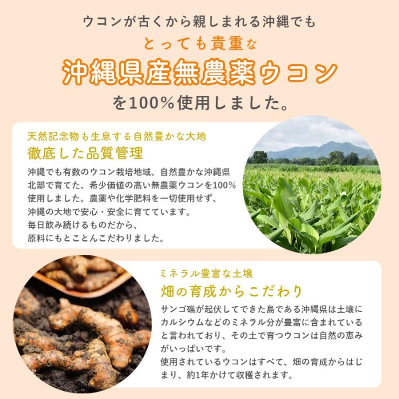 醗酵三種ウコン [1袋] 300粒入り/1ヶ月分 送料無料 春ウコン・秋ウコン