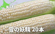 黒木農場　令和６年産　とうもろこし（雪の妖精）20本[020-53]