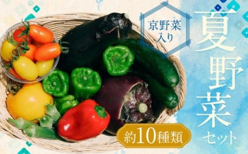 夏野菜セット（約10種類）
