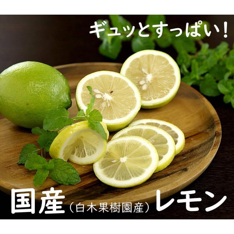 レモン 約1.5kg 白木果樹園産 国産