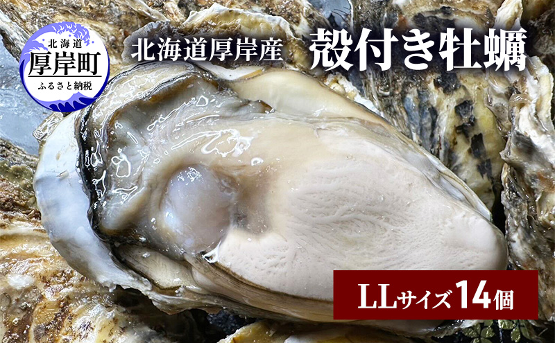 北海道 厚岸産 殻付き 牡蠣 LLサイズ 14個