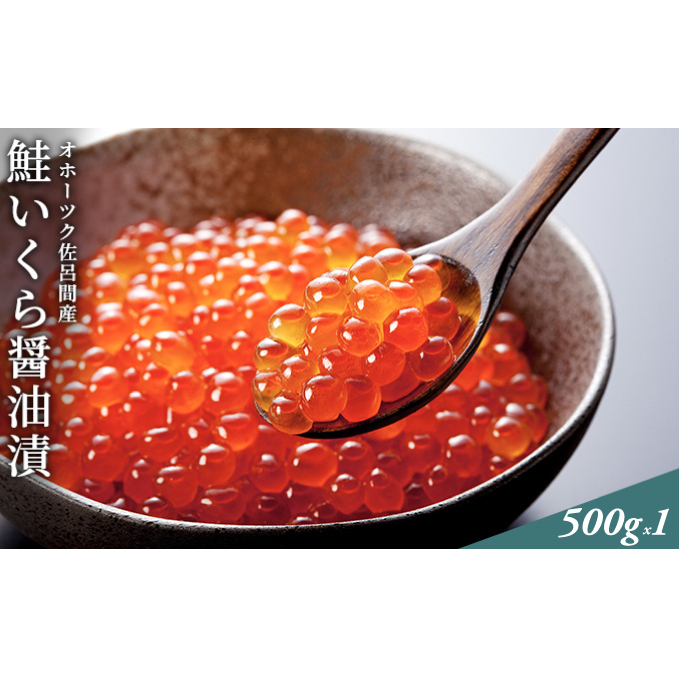 ［R5新物］ いくら 醤油漬け 500g 佐呂間産  北海道 オホーツク 佐呂間町 鮭卵 イクラ 海鮮 魚介