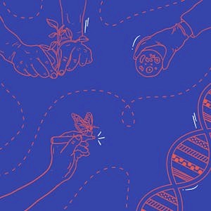 Biodiseño respondiendo a retos complejos