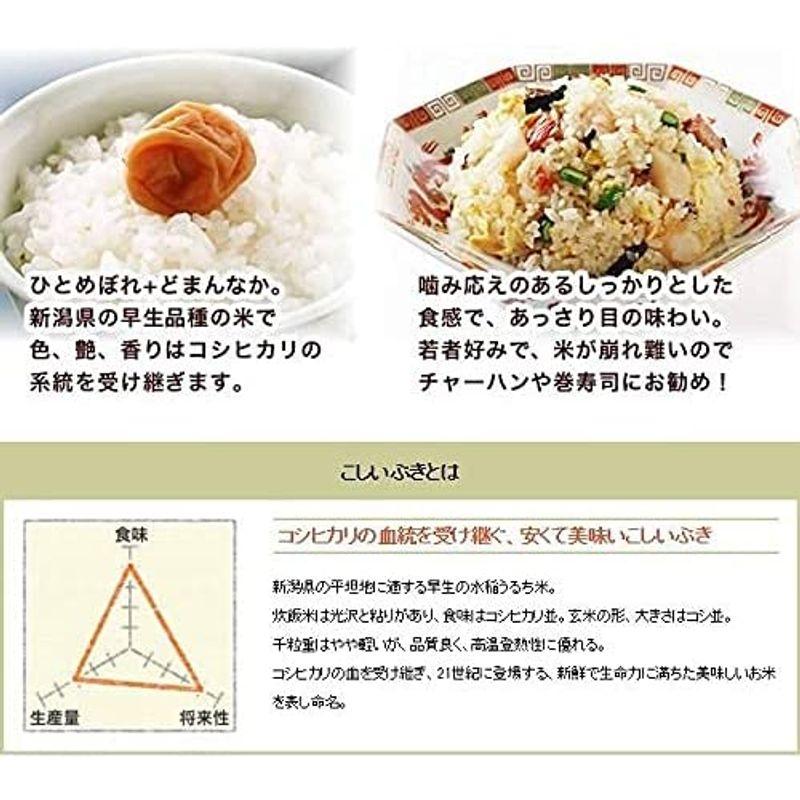 新米新潟県産 こしいぶき 白米 15kg (5kg×3 袋) 令和4年産