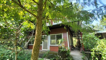 鹿谷合法休閒農場｜南投縣鹿谷鄉東照段