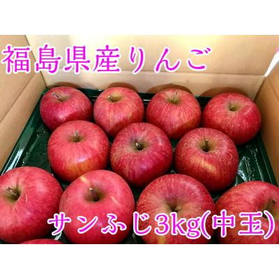 ふるさと納税 須賀川市 福島県のりんご　蜜入りリンゴサンふじ　中玉3kg(8〜14玉)