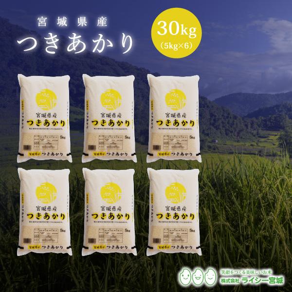 新米 米 30kg つきあかり 宮城県産 米30kg お米 白米 令和5年産 送料無料 5kg×6袋セット