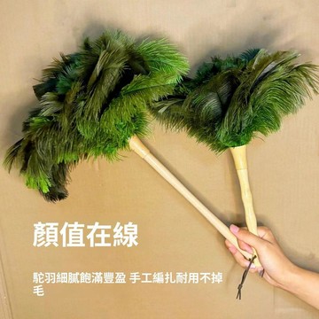 臺灣出貨🔥鴕鳥毛撣子除塵掃灰家用可伸縮不掉毛除塵神器雞毛撣子除塵撣子