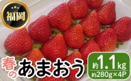 ＜先行予約受付中・数量限定＞2024年3月からお届け！春のあまおう(約280g×4P・計1.12kg)＜離島配送不可＞