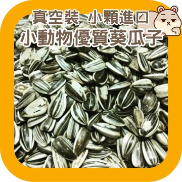 鼠鼠 小顆進口小動物優質葵瓜子分包 倉鼠瓜子